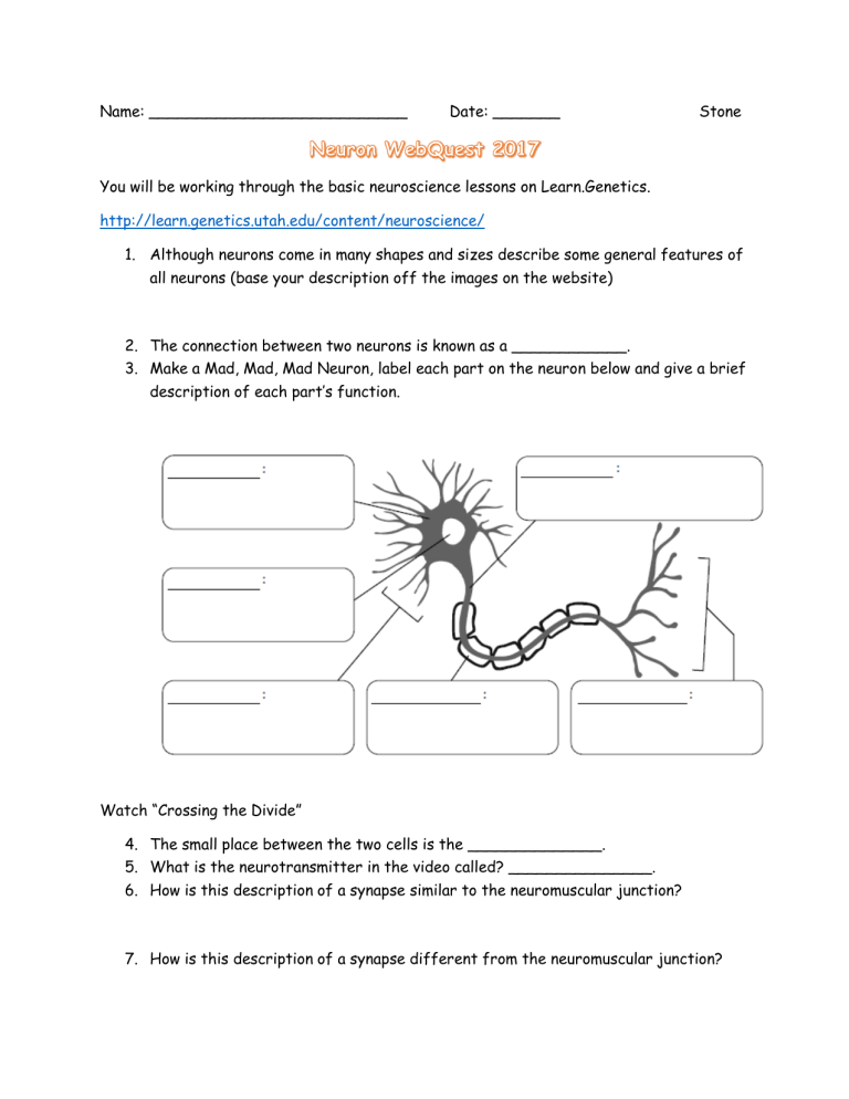 Neuron WebQuest 2017