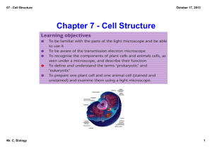 07 - Cell Structure