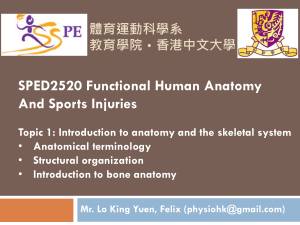 Topic 1 - Introduction to anatomy and the skeletal system-21