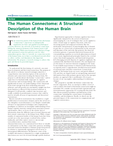 The Human Connectome- A Structural Description of the Human Brain
