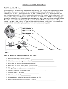 protein-synthesis-worksheet