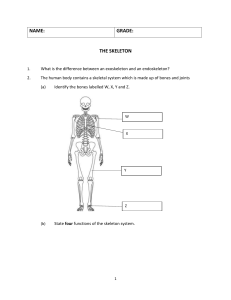 skeleton worksheet