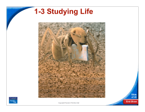 1-3 Studying Life