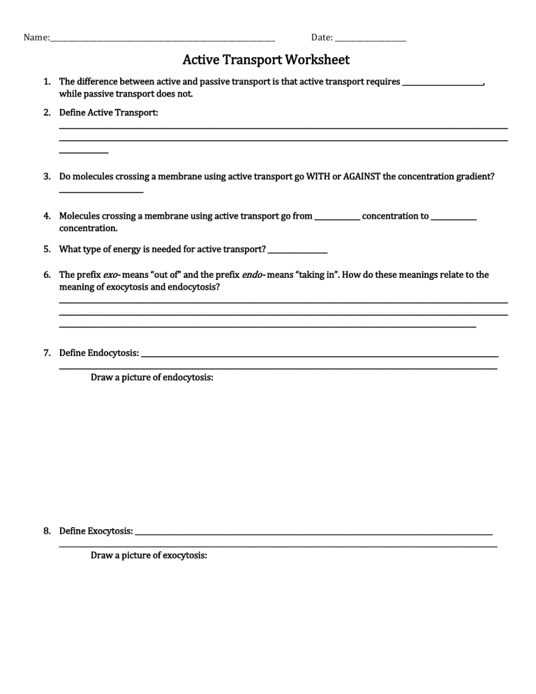 Active Transport Worksheet