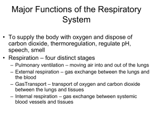 Chapter 22 Respiration
