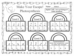 Photosynthesis - Make your Escape