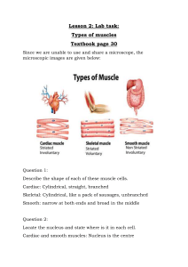 Lab task types of muscles