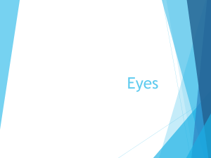 Eyes Assess NF 111drapp1 (1)