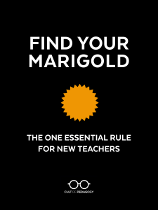 Find Your Marigold