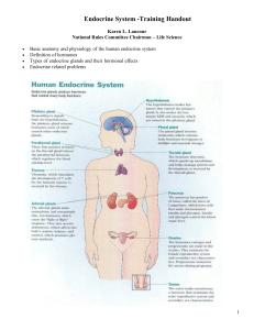 2-ENDOCRINE SYSTEM HANDOUT