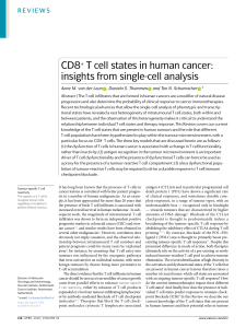 CD8 states in human cancers Nature Rev Schumacher 2020 s41568-019-0235-4