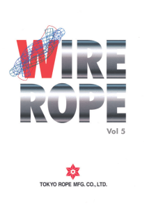wirerope sling