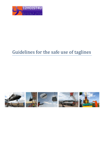 12hoist4u - guidelines for the safe use of taglines