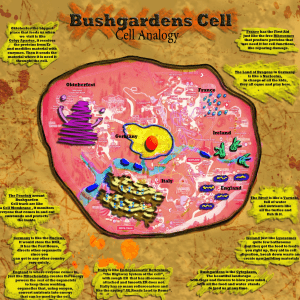 Bushgardens  Cell Analogy