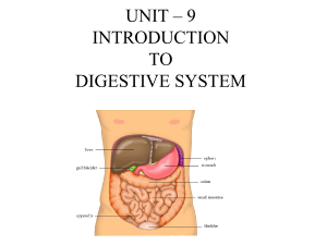 UNIT – 9 digestive system