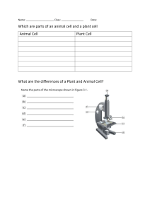 Animal & Plant Cell Worksheet: Microscope Parts