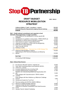 1.06-05.2 Draft Budget RM Strategy