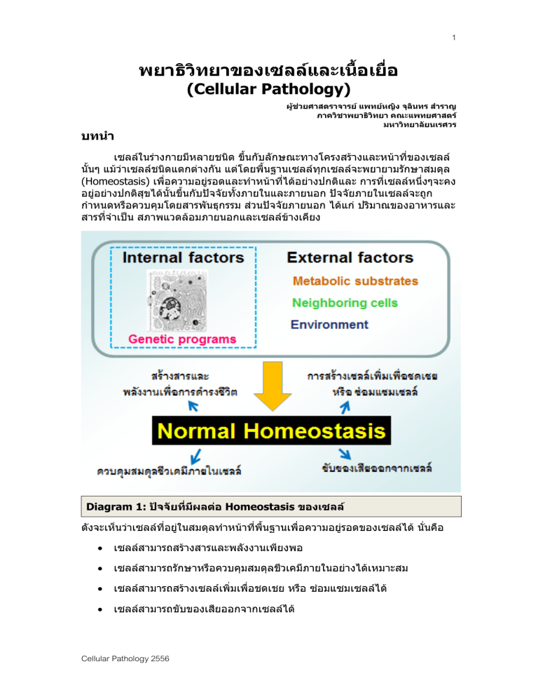 cellular-pathology