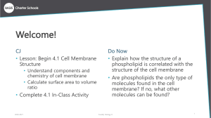 4.1 - Membrane Structure (1)