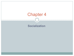4.1 the importance of socialization