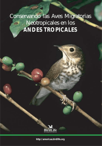 conservando-las-aves-migratorias-neotropicales-en-los-andes-tropicales-pdf compress