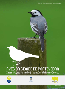 Guia das Aves de Pontevedra: Conheça a Fauna Local