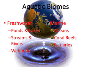 aquatic biome