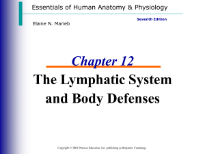 ANATOMY AND PHYSIOLOGY CHAPTER 12 LYMPHATIC SYSTEM-converted