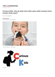 Curious Kids  why do pets have dark eyes while humans have mostly white eyes 