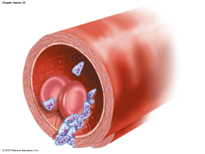 lecture1  blood(1) (1)