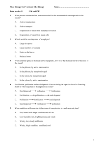 Plant Biology Test HL2 V2 2015