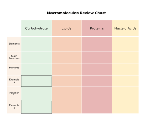 Macromolecules Review Chart