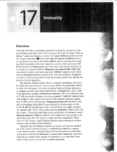 Workbook   Chapter 17  Immunity