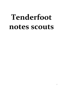 Scout-Tender-foot-Notes