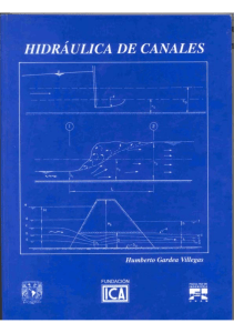 HIDRAULICA DE CANALES GADEAS