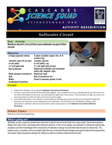 Saltwater Circuit - Cascades Science Squad