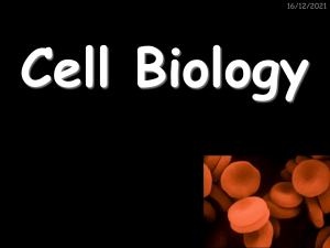 Biology 1 - Cell Biology- CELL TYPES
