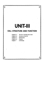 ANIMAL CELL