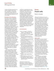 Donoghue 2020 fossil cells