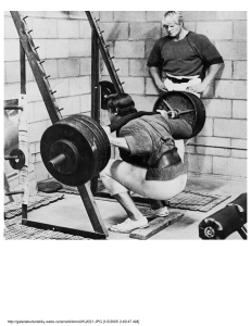 3268369-Bodybuilding-Weightlifting-Training-Database-Book