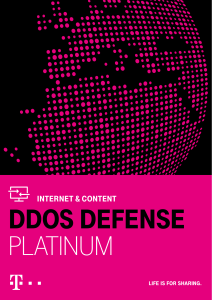 DDoS-Defense-Platinum-Flyer
