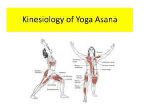 KinesiologyAsana