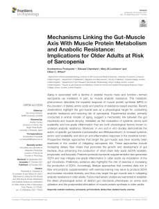 Gut-Muscle Axis & Anabolic Resistance in Older Adults