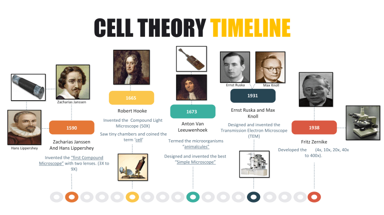 essay on history of cell