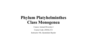 Platyhelmenthis Lecture-2u