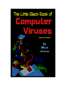 Black Book of Viruses and Hacking