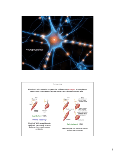 Unit 02 - Neurophysiology (2)