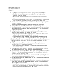 neurophysiologynotes