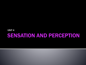 Unit 4 Sensation and Perception 20165