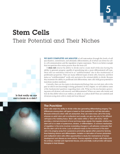 5.Stem cells